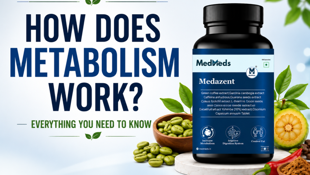 How Does Metabolism Work? Everything You Need to Know